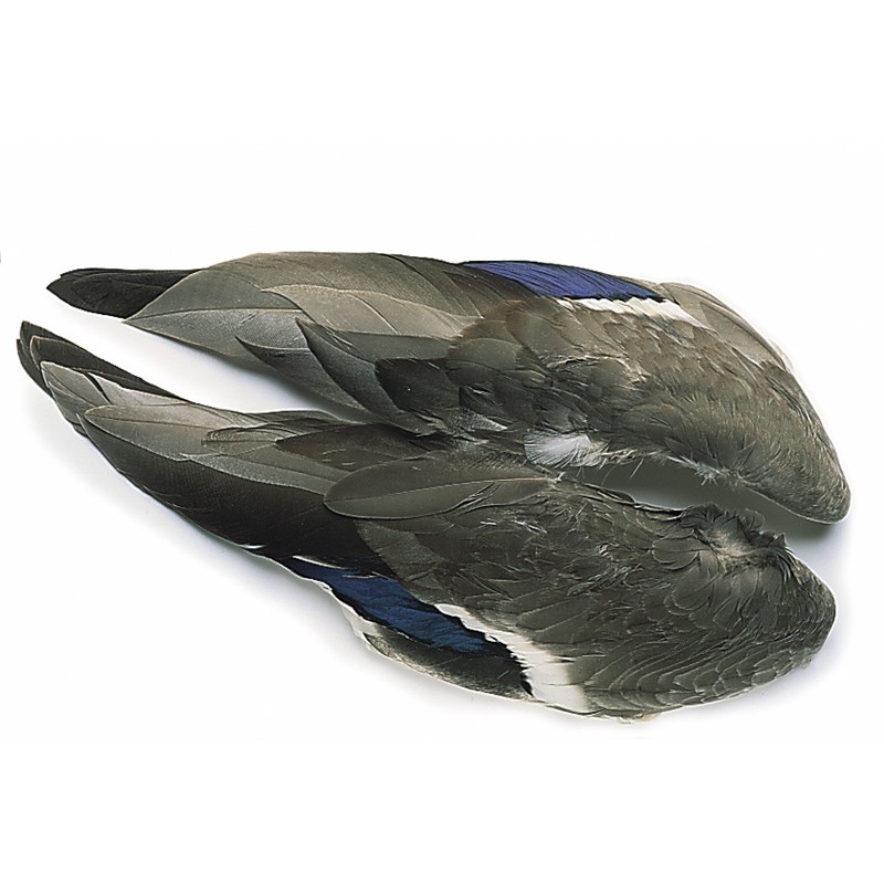 Veniard Mallard duck wings 1 pair